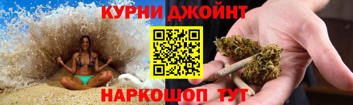 Каннабис сатива Кизляр